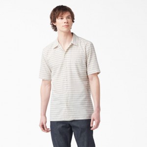 Beige Dickies 1922 Short Sleeve Men's Shirt | 897-LANEBI