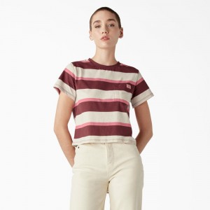 Beige Dickies Large Striped Cropped Pocket Women's T-Shirt | 372-CWABZQ