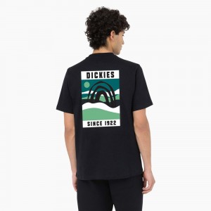 Black Dickies Baker City Short Sleeve Men's T-Shirt | 784-YMULDO