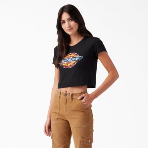 Black Dickies Distressed Logo Cropped Women's T-Shirt | 256-JAIWPL