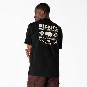 Black Dickies Hays Graphic Men's T-Shirt | 867-PXHMAZ