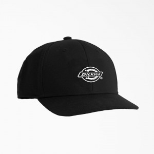 Black Dickies Low Pro Logo Print Men's Cap | 603-PSTLIY