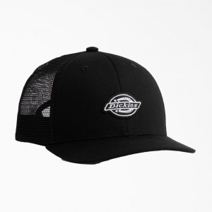 Black Dickies Low Pro Logo Trucker Men's Hat | 048-HWYXOJ