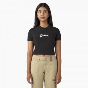 Black Dickies Mayetta Cropped Women's T-Shirt | 927-CSNDUE