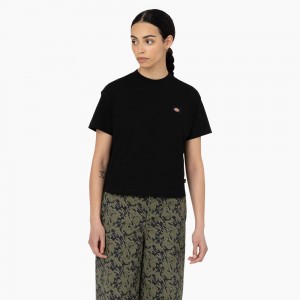 Black Dickies Oakport Cropped Women's T-Shirt | 097-BZEOHW