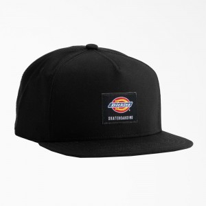 Black Dickies Skateboarding Mid Pro Women's Cap | 106-NEAVBC