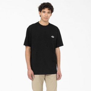 Black Dickies Summerdale Short Sleeve Men's T-Shirt | 531-HYNRTC