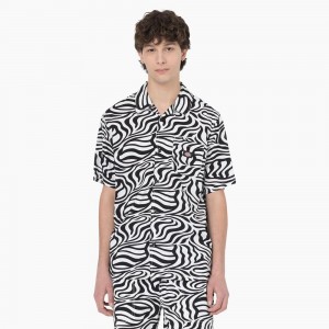 Black Dickies Zebra Print Short Sleeve Men's Shirt | 978-AVKRIG