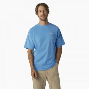 Blue Dickies Bandon Short Sleeve Men's T-Shirt | 120-FJXZRC