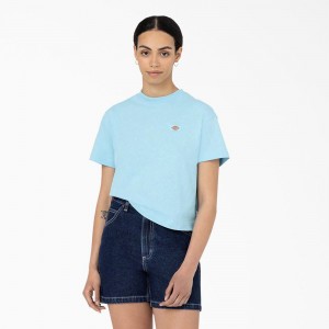 Blue Dickies Oakport Cropped Women's T-Shirt | 906-BRYWPK