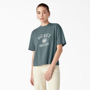 Blue Dickies Oxford Graphic Women's T-Shirt | 731-YWICRH