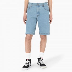 Blue Dickies Skateboarding Loose Fit Wingville Men's Shorts | 956-ZYSQIO