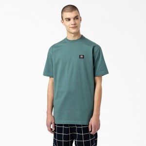 Blue Dickies Skateboarding Mount Vista Men's T-Shirt | 807-THGVMC