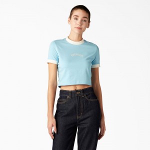 Blue Dickies Warm Springs Women's T-Shirt | 635-ORBQKN