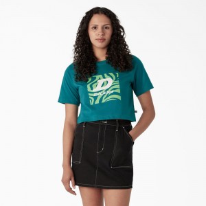 Blue Dickies Zebra Graphic Cropped Women's T-Shirt | 547-MYDFNS