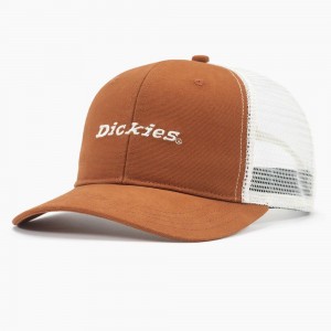 Brown Dickies Two-Tone Trucker Men's Cap | 580-ZJCKIM