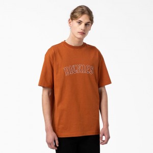 Brown Dickies Union Springs Short Sleeve Men's T-Shirt | 274-MJZXHL