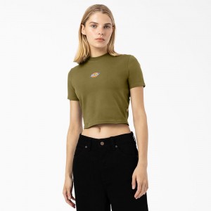 Green Dickies Maple Valley Logo Cropped Women's T-Shirt | 847-CEYHQP