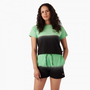 Green Dickies Ombre Cropped Women's T-Shirt | 982-TYNSIL