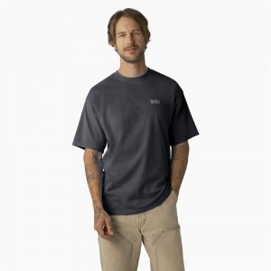 Grey Dickies Bandon Short Sleeve Men's T-Shirt | 081-OGLCYW