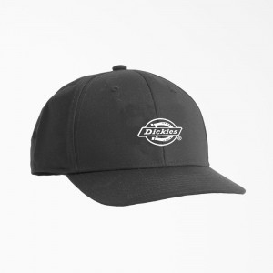 Grey Dickies Low Pro Logo Print Men's Cap | 489-JXPUYQ