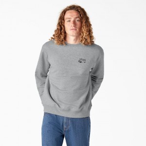 Grey Dickies Skateboarding Pool Drainage Graphic Men's Sweatshirt | 139-YWVEGC