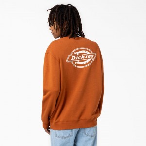 Orange Dickies Holtville Men's Sweatshirt | 702-VZEROI