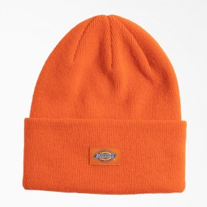 Orange Dickies Neon Cuffed Men's Beanie | 532-PKYTCS