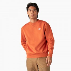 Orange Dickies Summerdale Men's Sweatshirt | 382-ZRHOAG