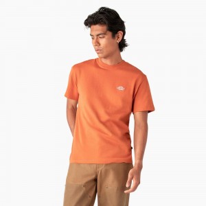 Orange Dickies Summerdale Short Sleeve Men's T-Shirt | 943-CIUZMS