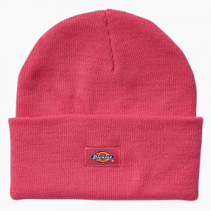 Pink Dickies Breast Cancer Awareness Cuffed Knit Men's Beanie | 872-ZOHKVA