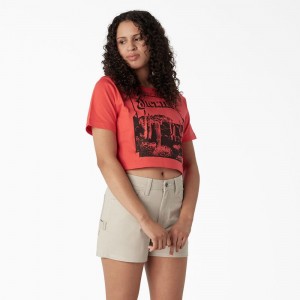 Pink Dickies Desert Graphic Cropped Women's T-Shirt | 265-JBSRAY