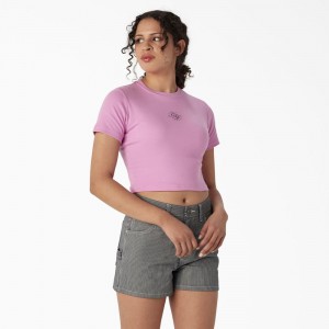 Pink Dickies Embroidered Cropped Baby Women's T-Shirt | 198-SEKDPQ