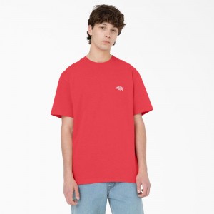 Pink Dickies Summerdale Short Sleeve Men's T-Shirt | 619-AUNOWC