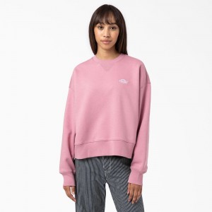 Pink Dickies Summerdale Women's Sweatshirt | 584-LQONKU