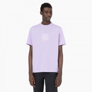 Purple Dickies Beavertown Short Sleeve Men's T-Shirt | 906-TWQGPB