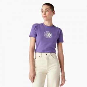 Purple Dickies Garden Plain Cropped Women's T-Shirt | 701-CFHUDY