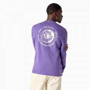 Purple Dickies Garden Plain Graphic Long Sleeve Men's T-Shirt | 932-PNJKSQ