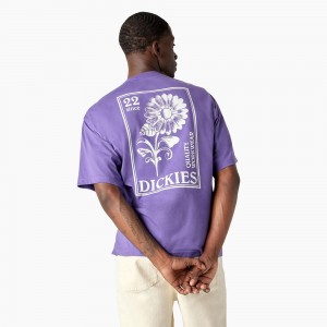 Purple Dickies Garden Plain Graphic Men's T-Shirt | 846-YPWDVB