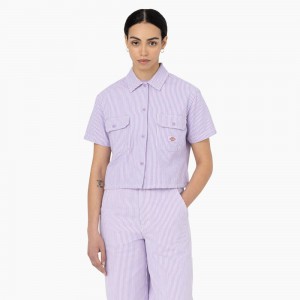 Purple Dickies Hickory Stripe Cropped Women's Work Shirts | 831-DYKXHF