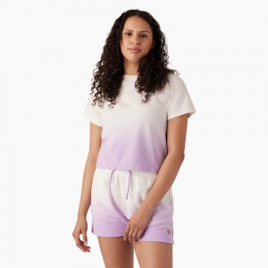 Purple Dickies Ombre Cropped Women's T-Shirt | 270-IZJCOV