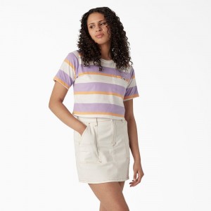 Purple Dickies Striped Cropped Pocket Women's T-Shirt | 760-SNFJER