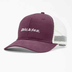 Purple Dickies Two-Tone Trucker Men's Cap | 149-ZBWMKX