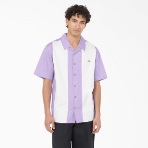 Purple Dickies Westover Short Sleeve Men's Shirt | 203-SOLKRY