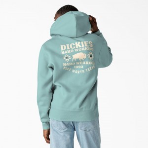 Turquoise Dickies Hays Graphic Men's Hoodie | 768-JTHOVR