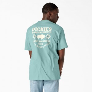 Turquoise Dickies Hays Graphic Men's T-Shirt | 546-ITRLCZ