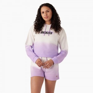 White Dickies Cropped Ombre Women's Hoodie | 942-FKQONB