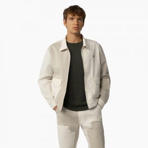 White Dickies Eddyville Men's Jacket | 185-QHEDIY