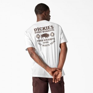 White Dickies Hays Graphic Men's T-Shirt | 975-ARELVF