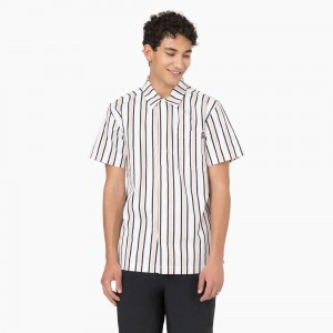 White Dickies Skateboarding Cooling Relaxed Fit Men's Shirt | 729-HRSLNT